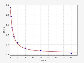 Rat ENK ELISA Kit