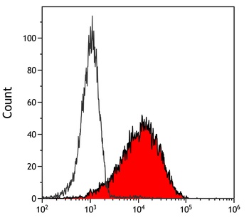 Rabbit anti-PU.1 Recombinant Monoclonal Antibody