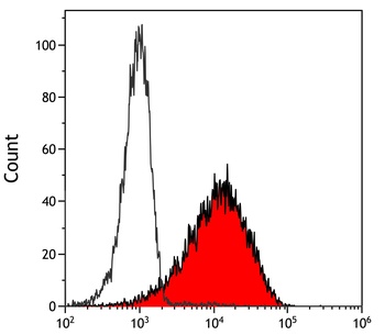 Rabbit anti-PU.1 Recombinant Monoclonal Antibody