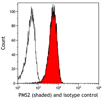 Rabbit anti-PMS2 Recombinant Monoclonal Antibody