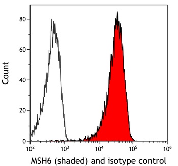 Rabbit anti-MSH6 Recombinant Monoclonal Antibody