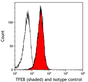Rabbit anti-TFEB Recombinant Monoclonal Antibody