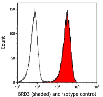 Rabbit anti-BRD3 Recombinant Monoclonal Antibody