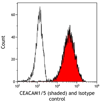 Rabbit anti-CEACAM1/5 Recombinant Monoclonal Antibody
