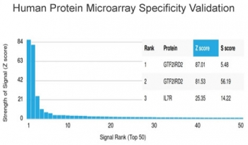 GTF2IRD2 Antibody / GTF2IRD2 alpha