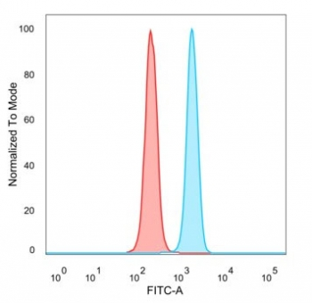DBC1 Antibody / Deleted in breast cancer 1 / CCAR2