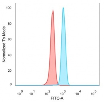 IRF3 Antibody