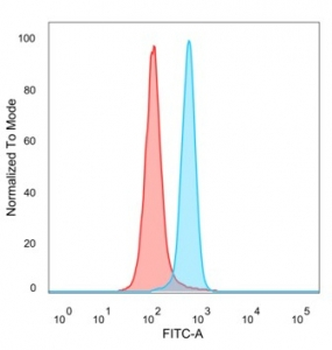 BRAF35 Antibody / HMG20B