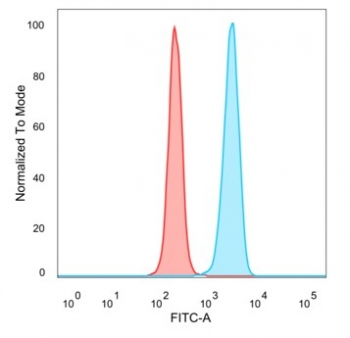 ZNF774 Antibody / Zinc finger protein 774