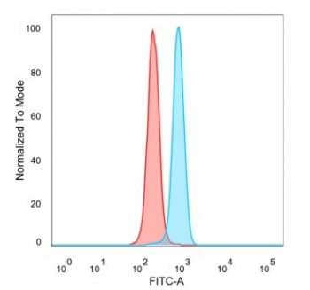 SNW1 Antibody / NCoA-62 / SKIP