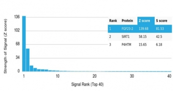 FGF-23 Antibody / Fibroblast Growth Factor 23