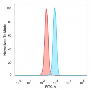 POGZ Antibody / Pogo transposable element with ZNF domain