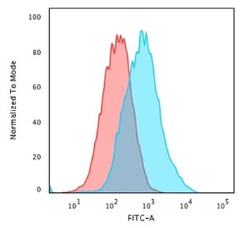 p27 Antibody / p27Kip1