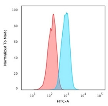 HER2 Antibody / ErbB2