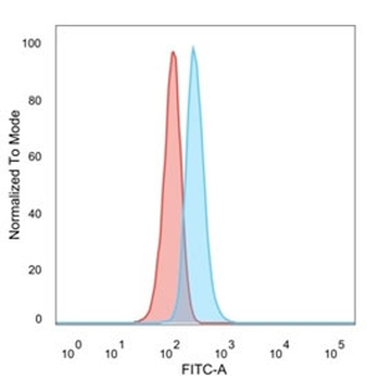 ZNF408 Antibody / PRDM17