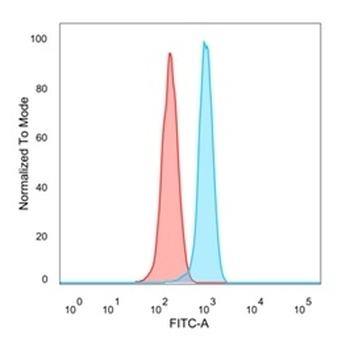 ZBTB46 Antibody / BTBD4 / ZNF340