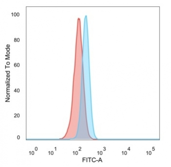 RBMS2 Antibody / SCR3