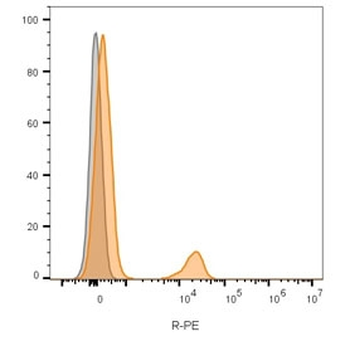 CD19 Antibody / B-lymphocyte marker