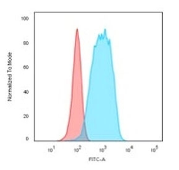 CD20 Antibody