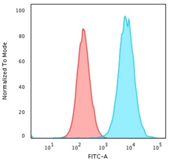 Beta-2 Microglobulin Antibody