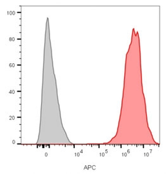 CD9 Antibody