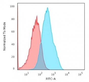 Cadherin 17 Antibody
