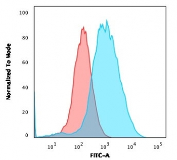 Gamma Catenin Antibody / Plakoglobin