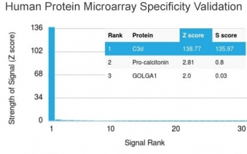 C3d / Complement 3d Antibody