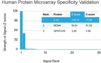 IL1 alpha Antibody / IL1A