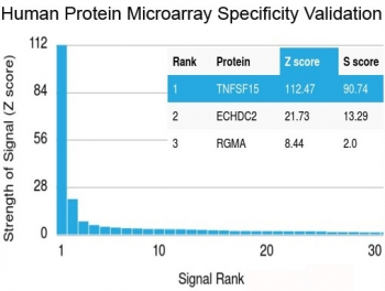 TNFSF15 Antibody / VEGI / TL1A
