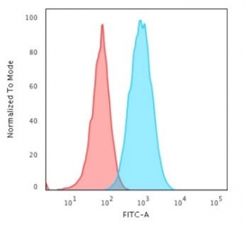 HLA-DR Antibody (MHC II)