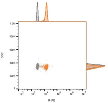 CD81 Antibody