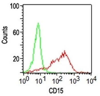 CD15 Antibody / SSEA-1