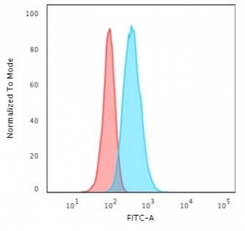 Cytokeratin 13 Antibody / KRT13