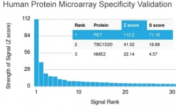 c-RET Antibody