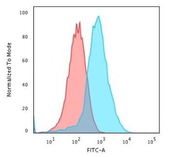 GRP94 Antibody / HSP90B1