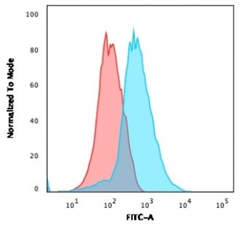 CD31 Antibody / PECAM-1