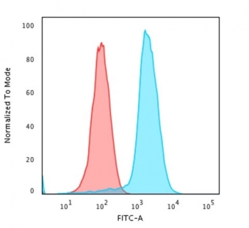 Pan-HLA Antibody (MHC II)