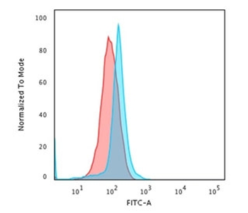 CD45 Antibody (Leukocyte marker)