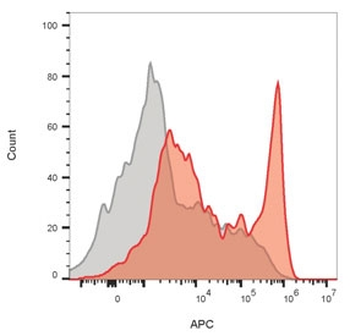 CD8A Antibody