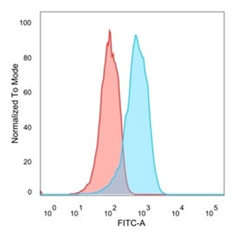 Estrogen Receptor beta 1 Antibody