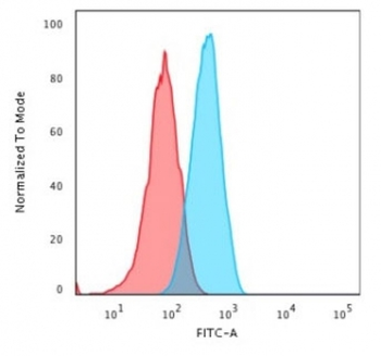 CD2 Antibody