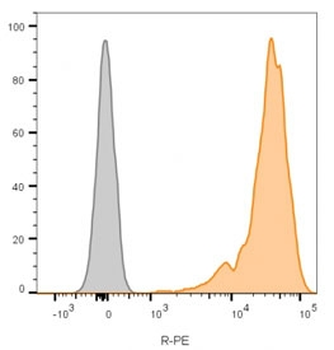 CD45 Antibody (Leukocyte marker)