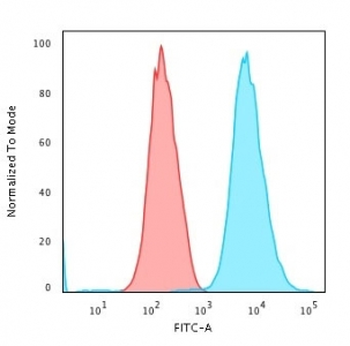 Cytokeratin 18 Antibody