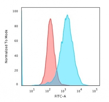 Transferrin Receptor Antibody / TFRC / CD71