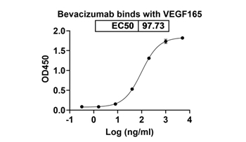 Bevacizumab (VEGFA) - Research Grade Biosimilar Antibody