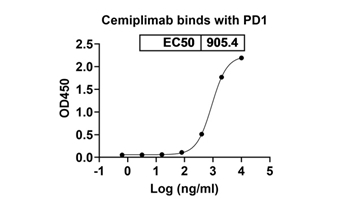Cemiplimab (PDCD1/PD1/CD279) - Research Grade Biosimilar Antibody