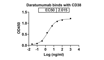 Daratumumab (CD38) - Research Grade Biosimilar Antibody