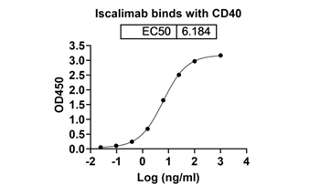 Iscalimab (CD40/TNFRSF5) - Research Grade Biosimilar