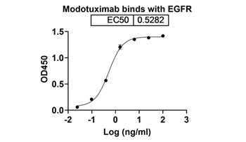 Modotuximab (EGFR/ERBB1 domain III) - Research Grade Biosimilar Antibody